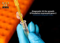 ST2 Kit PCR Waktu Nyata WWHS FIA Kit Tes Kuantitatif Cepat 20T Assay
